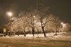 The snow_6627